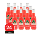 24 Pack, Jarritos 370ml Fruit Punch