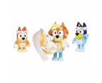 Bluey Season 10 Special Set Figurines Kids/Childrens Play Toy Assorted 3y+