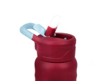 AquaFlask Kids II Vacuum Insulated Water Bottle 710ml (24oz) - Ballerina