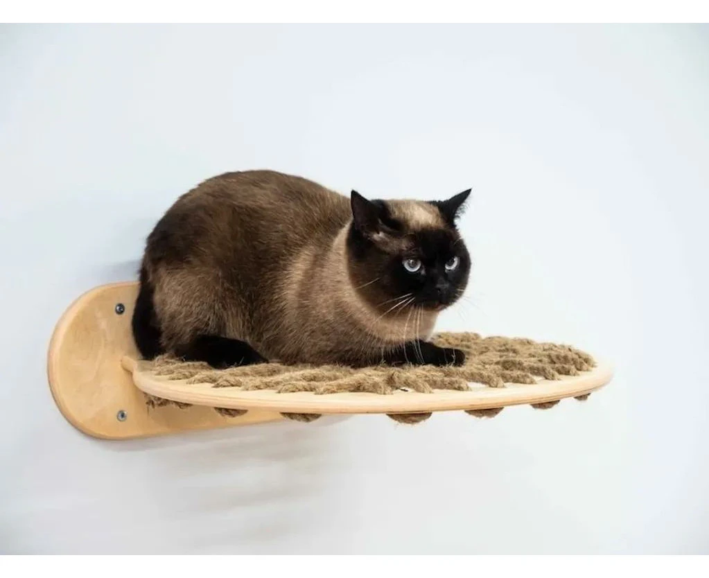 Taccuv Cat Hammock