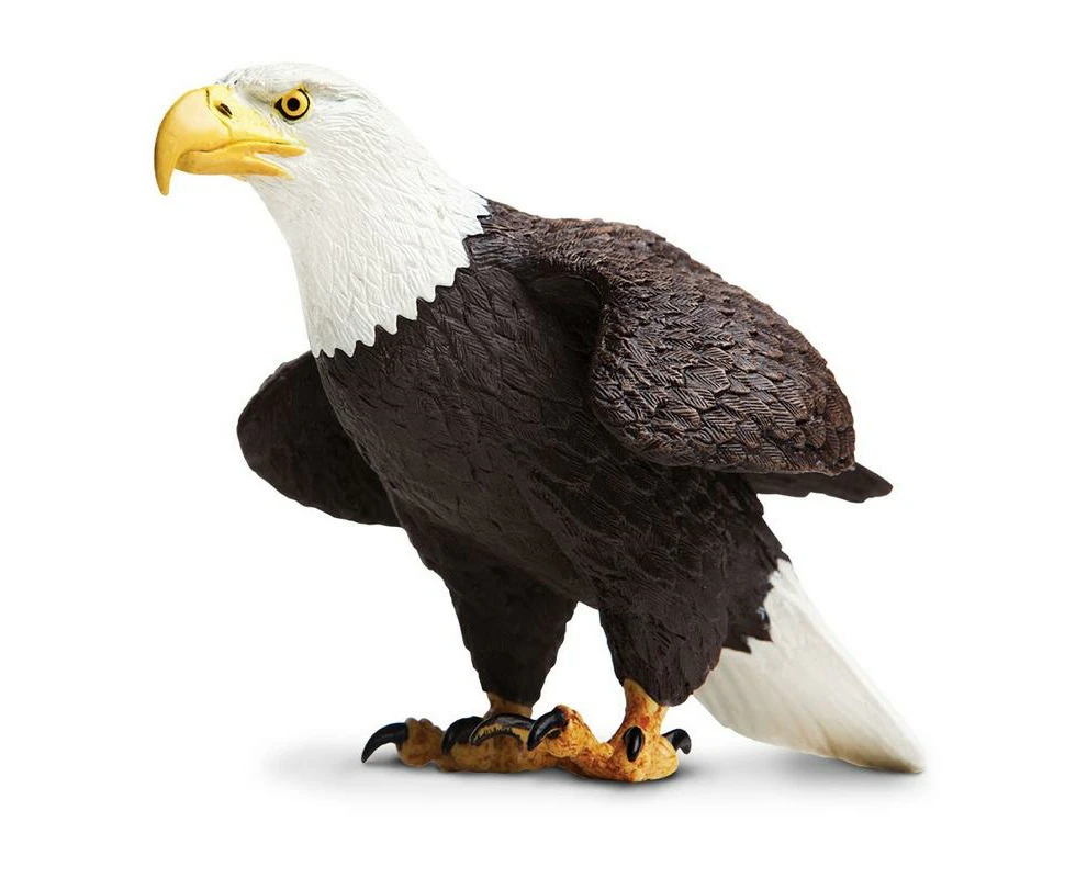 Safari Ltd Bald Eagle