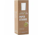 White Eco Paper Straws (Bulk Pack of 100)