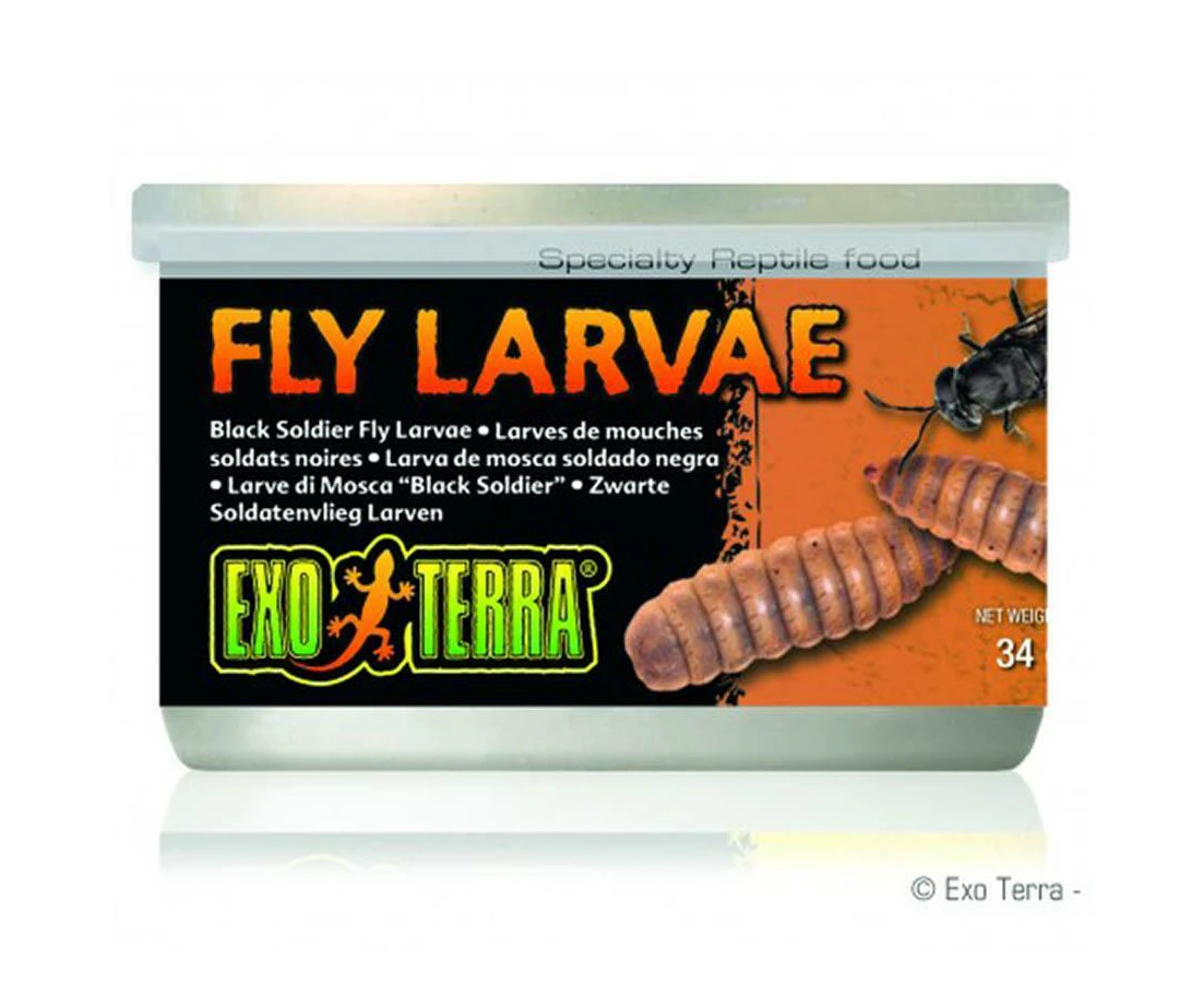 Exo Terra Black Soldier Fly Larvae 34g