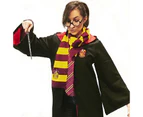 Harry Potter Wizard Costume Accessory Kit