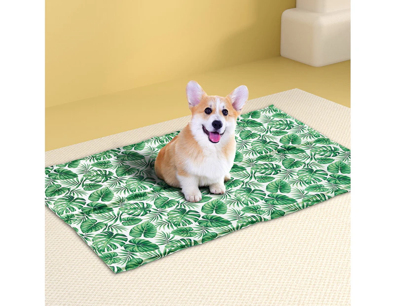 i.Pet Pet Cooling Mat Gel Dog Cat Self-cool Puppy Pad Large Bed Summer Cushion