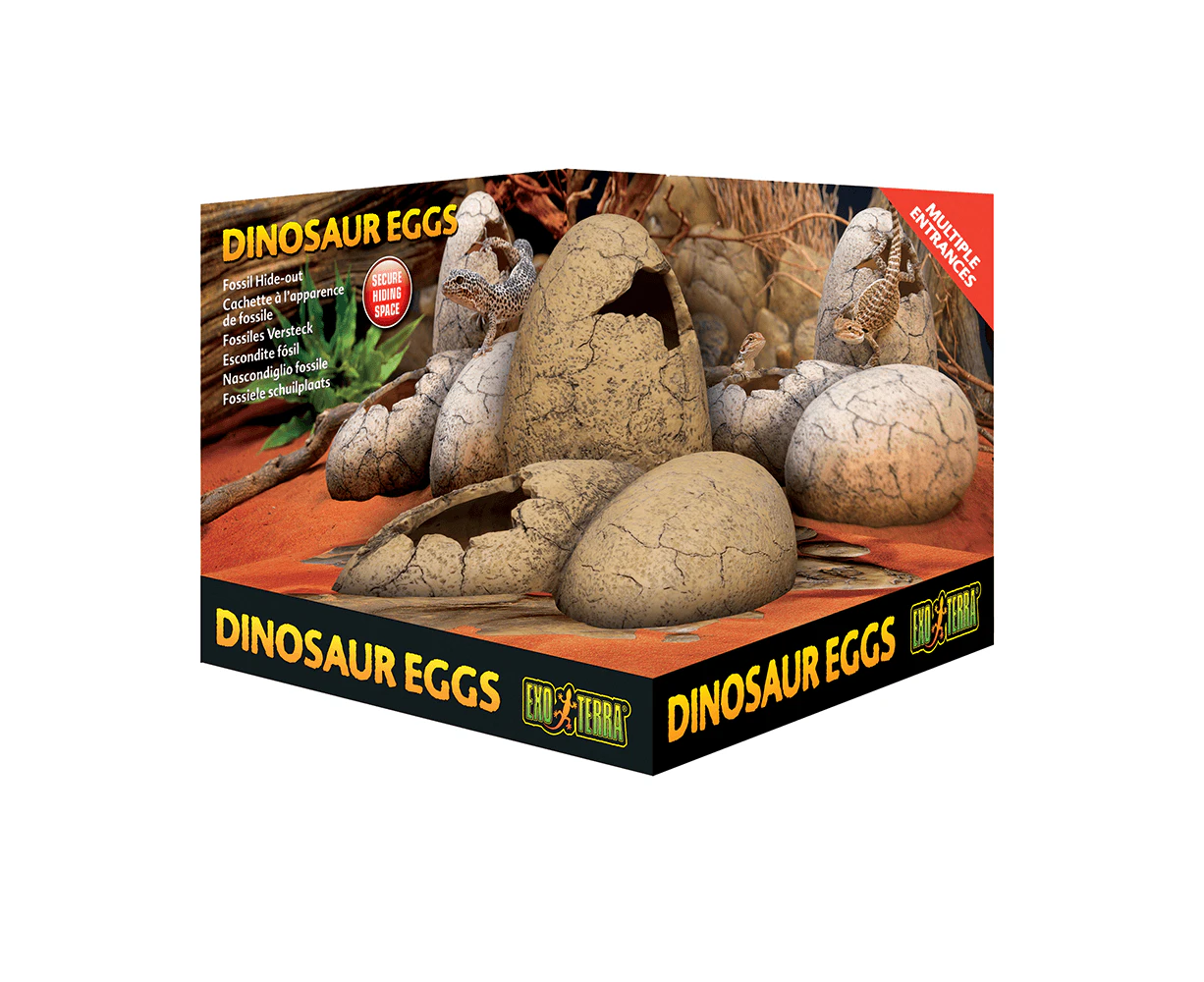 Exo Terra Dinosaur Eggs Hide Out