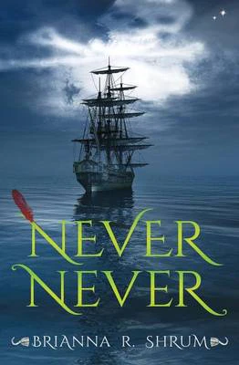 Never Never by Brianna Shrum