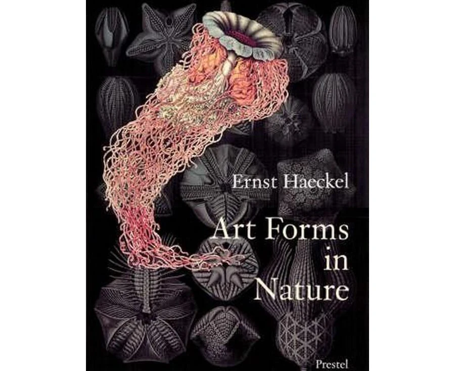 Art Forms in Nature : The Prints of Ernst Haeckel