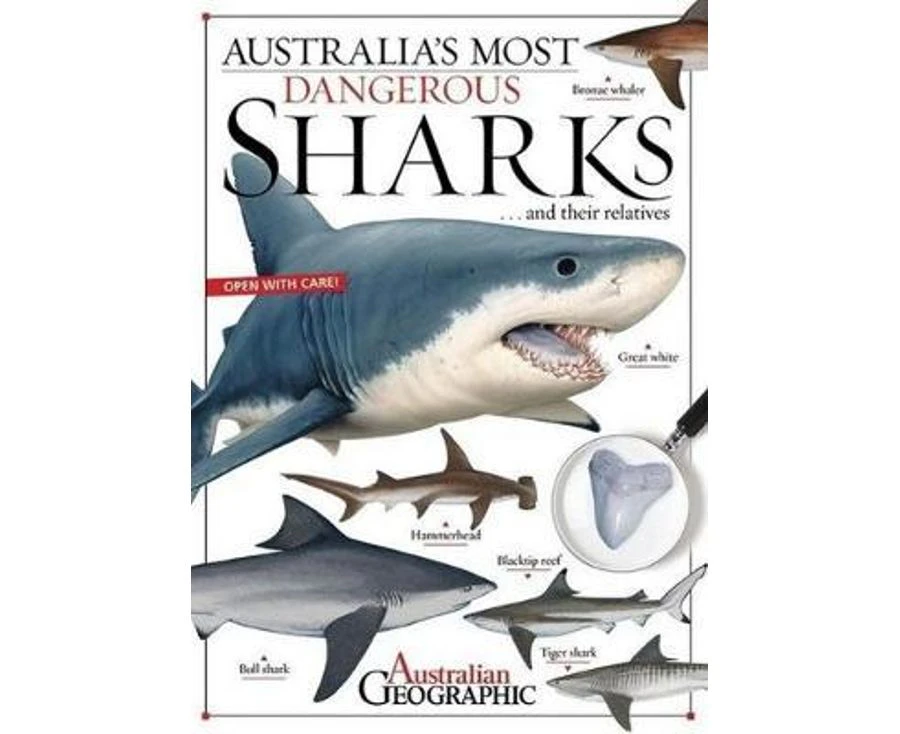 Australia's Most Dangerous : Sharks