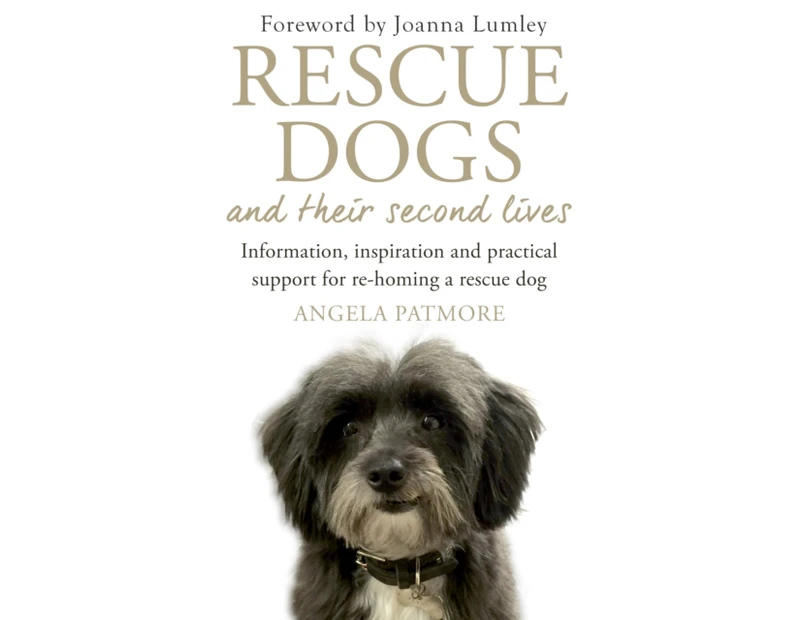 Rescue Dogs and Their Second Lives by Angela Patmore