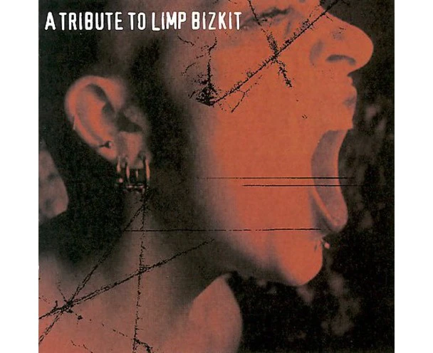 A Tribute To Limp Bizkit -Various CD