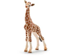 Schleich Wild Life Giraffe Calf