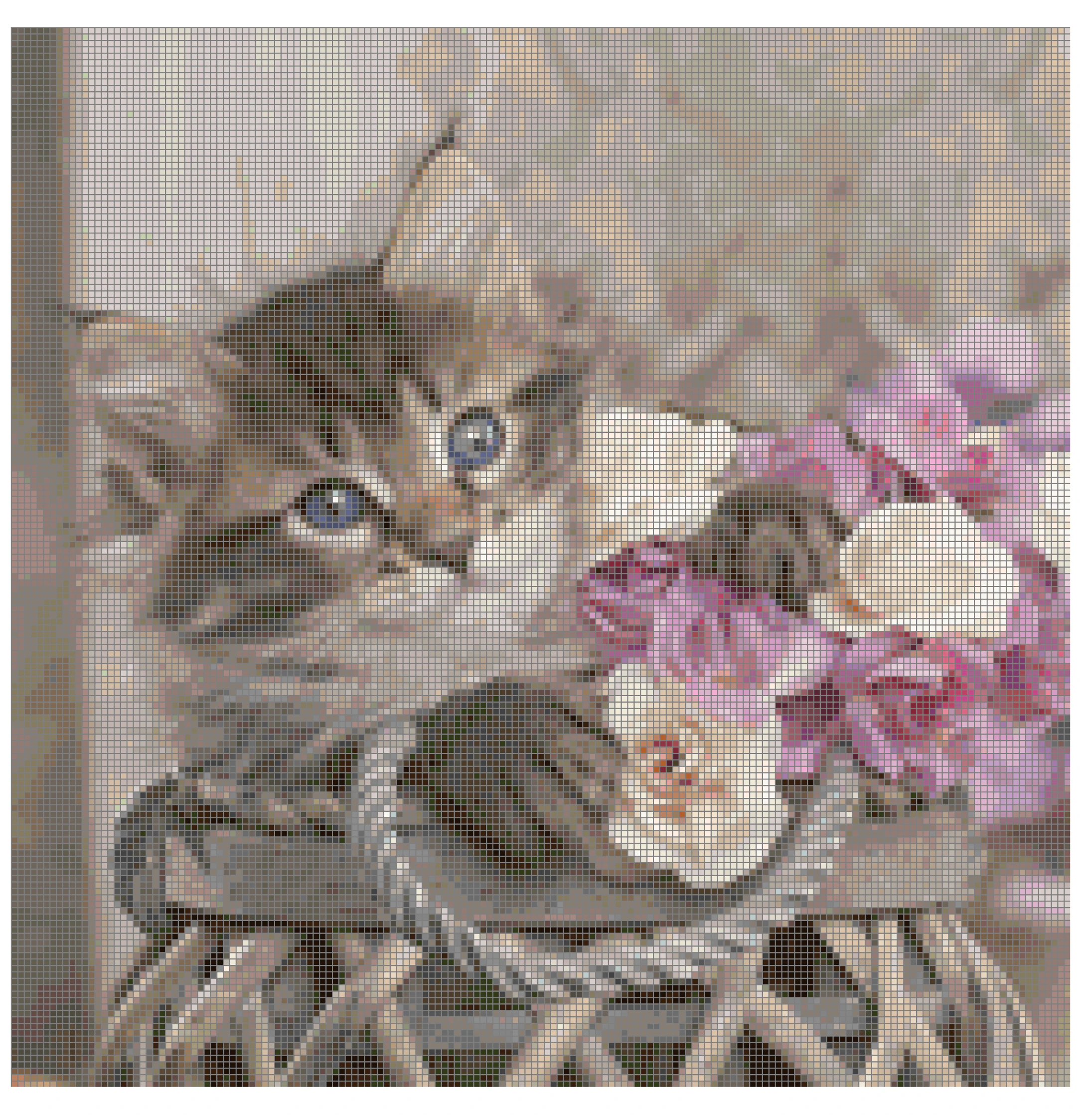 Cross Stitch Pattern Caitlyn Kitten New X Stitch Gwen Street Designs