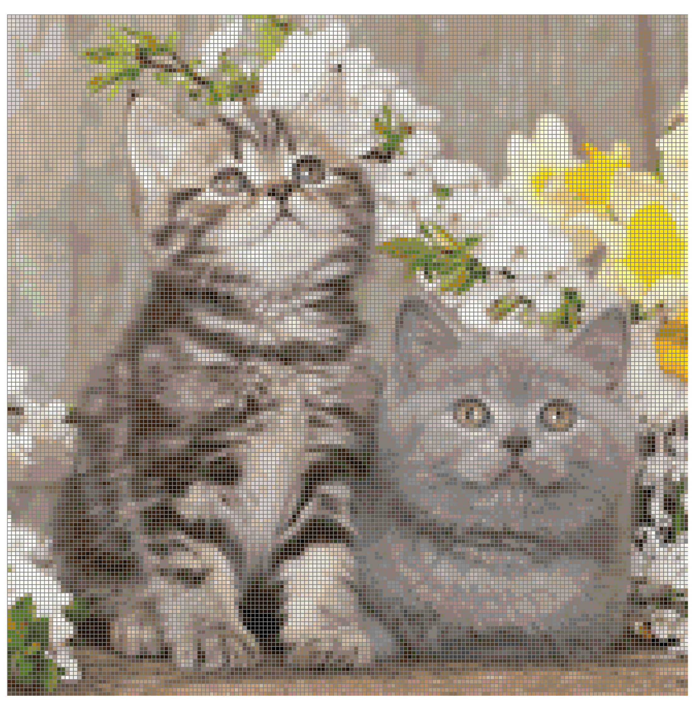 Cross Stitch Pattern Molly and Clair Kittens X Stitch Gwen St Designs