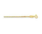 Bevilles Box Chain Necklace 9ct Yellow Gold Infusion 65cm