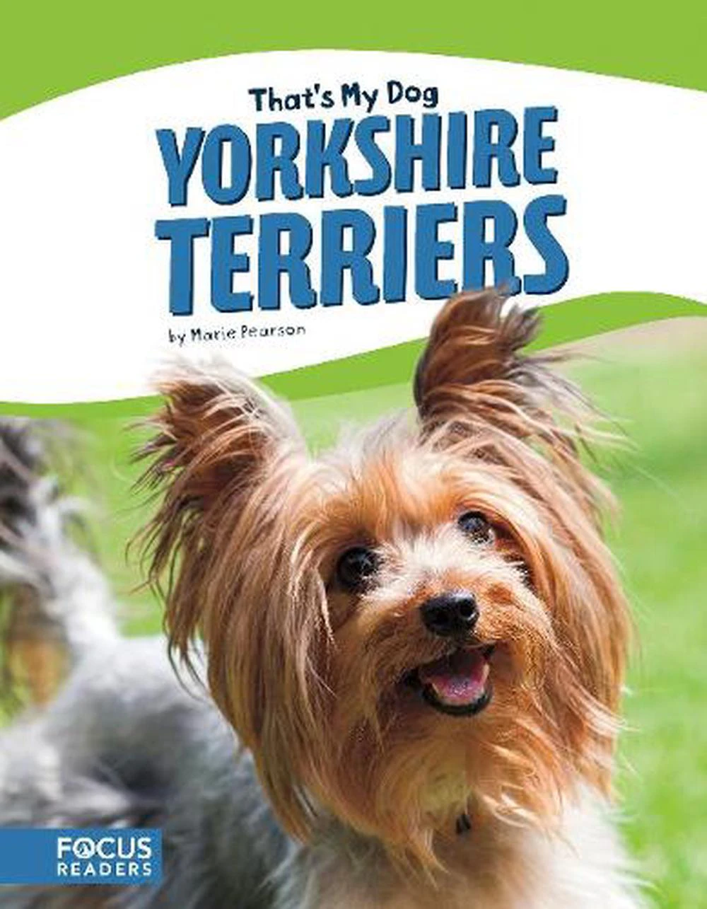 Yorkshire Terriers