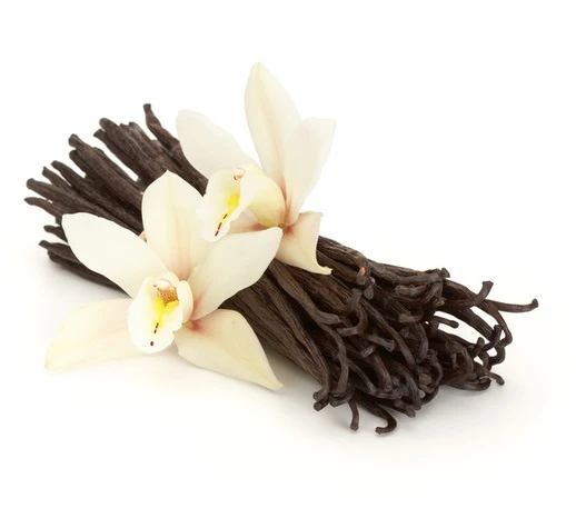 Vanilla Bean - Fragrance Oil