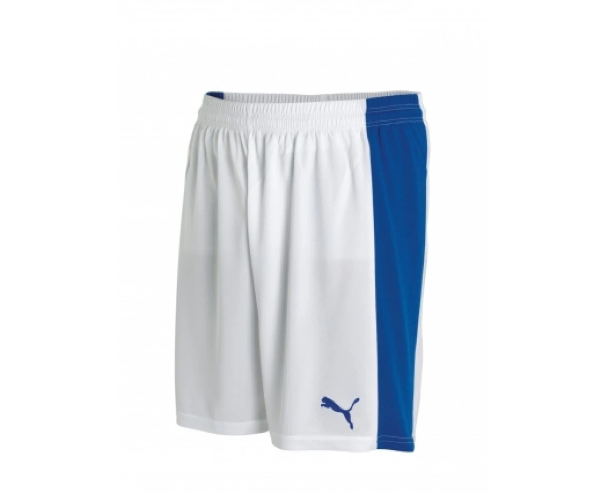 Puma Powercat 5.12 Team Shorts (white-blue)