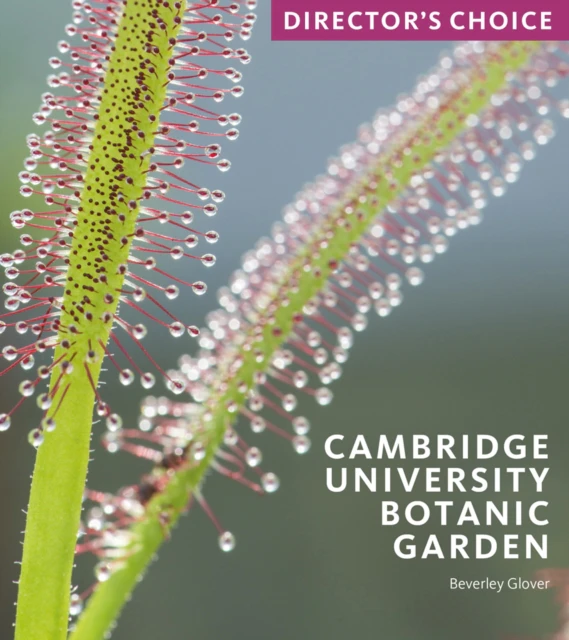 Cambridge University Botanic Garden by Beverley Glover