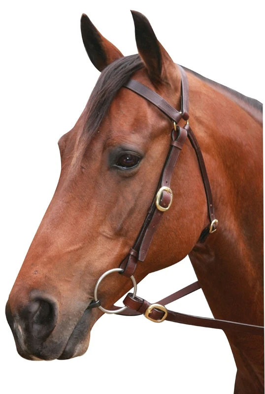 Showcraft Barcoo 3/4" Brass Bridle With Reins Pony/Cob/Full - Brown