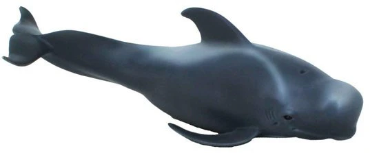 Collecta - Pilot Whale 88613