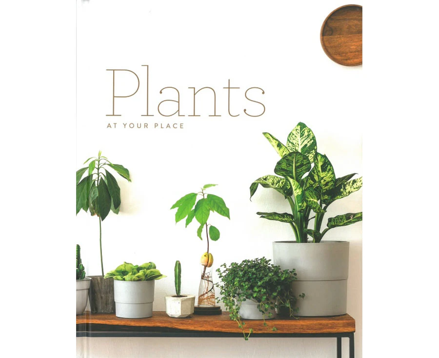 Plants  At Your Place