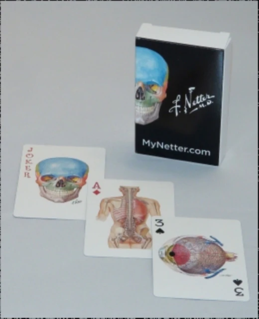 Netter Playing Cards by Netter & Frank H. & MD