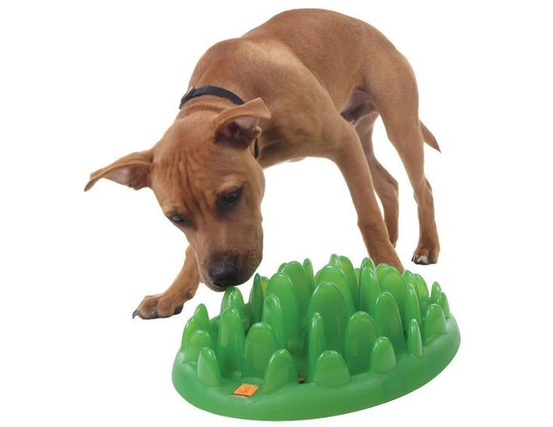 Northmate Green Mini Interactive Slow Food Dog Bowl