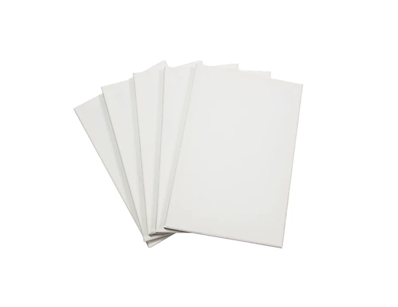 6 Pack Of 20x30cm Blank Canvas