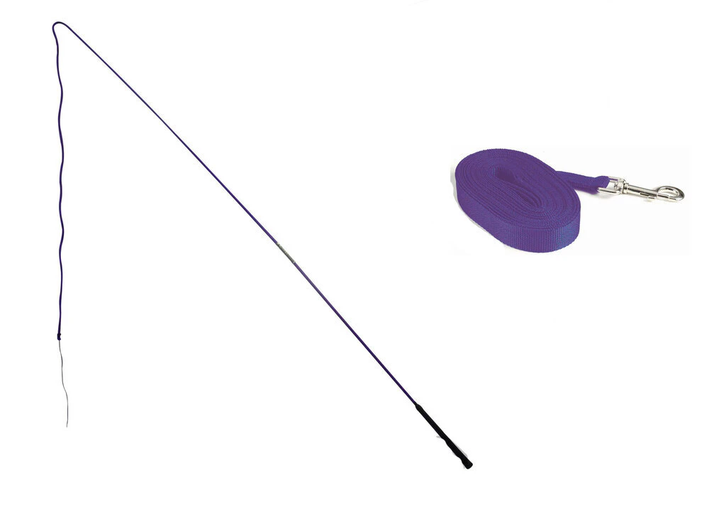 Economy Lunge Whip+Rein Set Whip160Cm 2 Piece+7mt Web Rein Purple Lunging