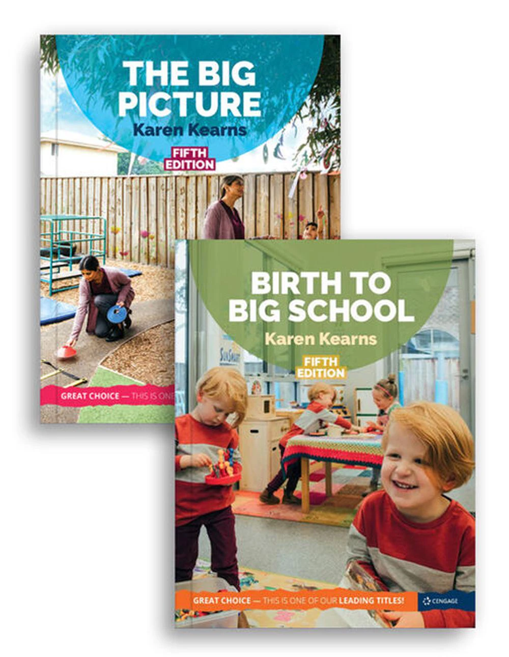 Bundle: The Big Picture 5E + Birth to Big School 5E