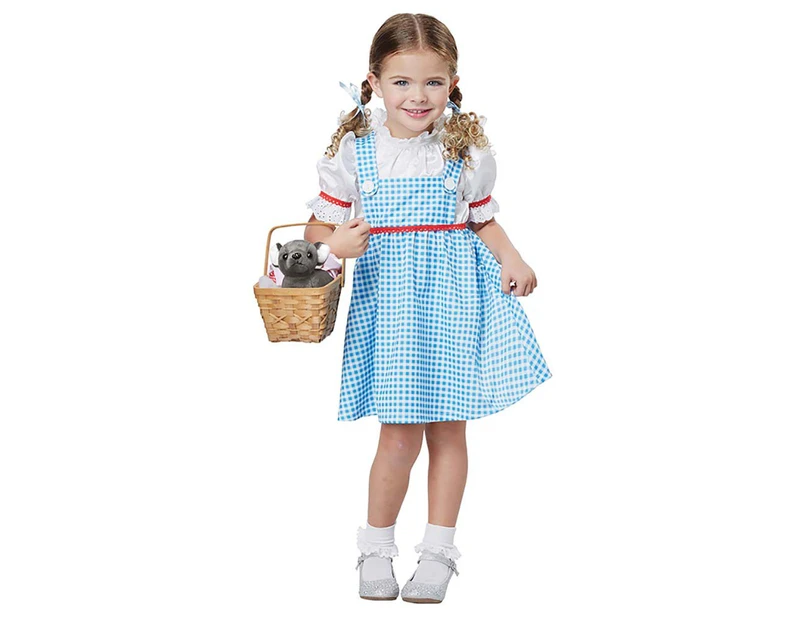 Dorothy The Wizard Of Oz Story Book Week Dress Up Toddler Girls Costume