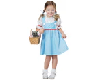 Dorothy The Wizard Of Oz Story Book Week Dress Up Toddler Girls Costume