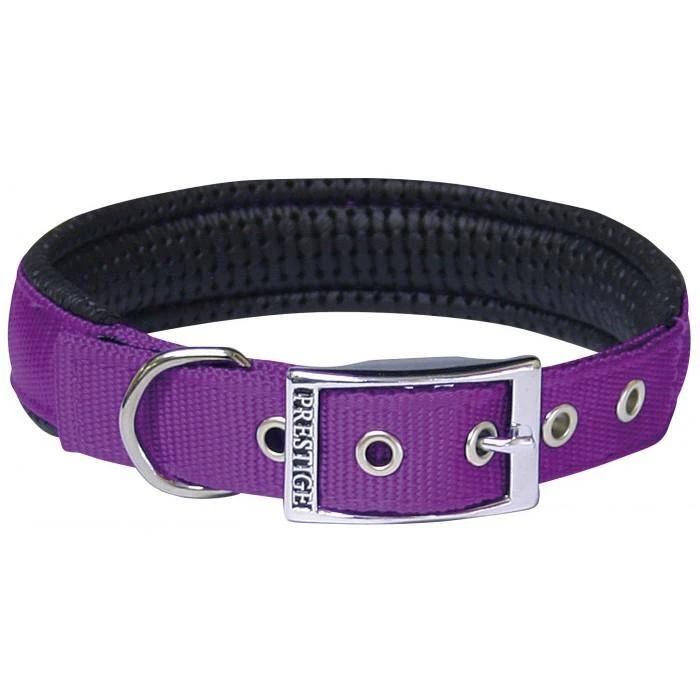 Purple Soft Padded Dog Collar - 25mm x 56cm Chrome Plated Buckle (Prestige Pet)