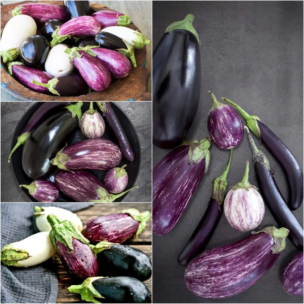 Eggplant - Heirloom Mix seeds