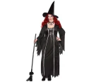 Dark Witch Halloween Costume - Adult Plus