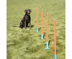5pc Coopet 81cm Pet Dog Collection Slalom Outdoor Agility Run Training Pole Set