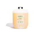 Ecodev Sanitising Floor Cleaner 10 Litres