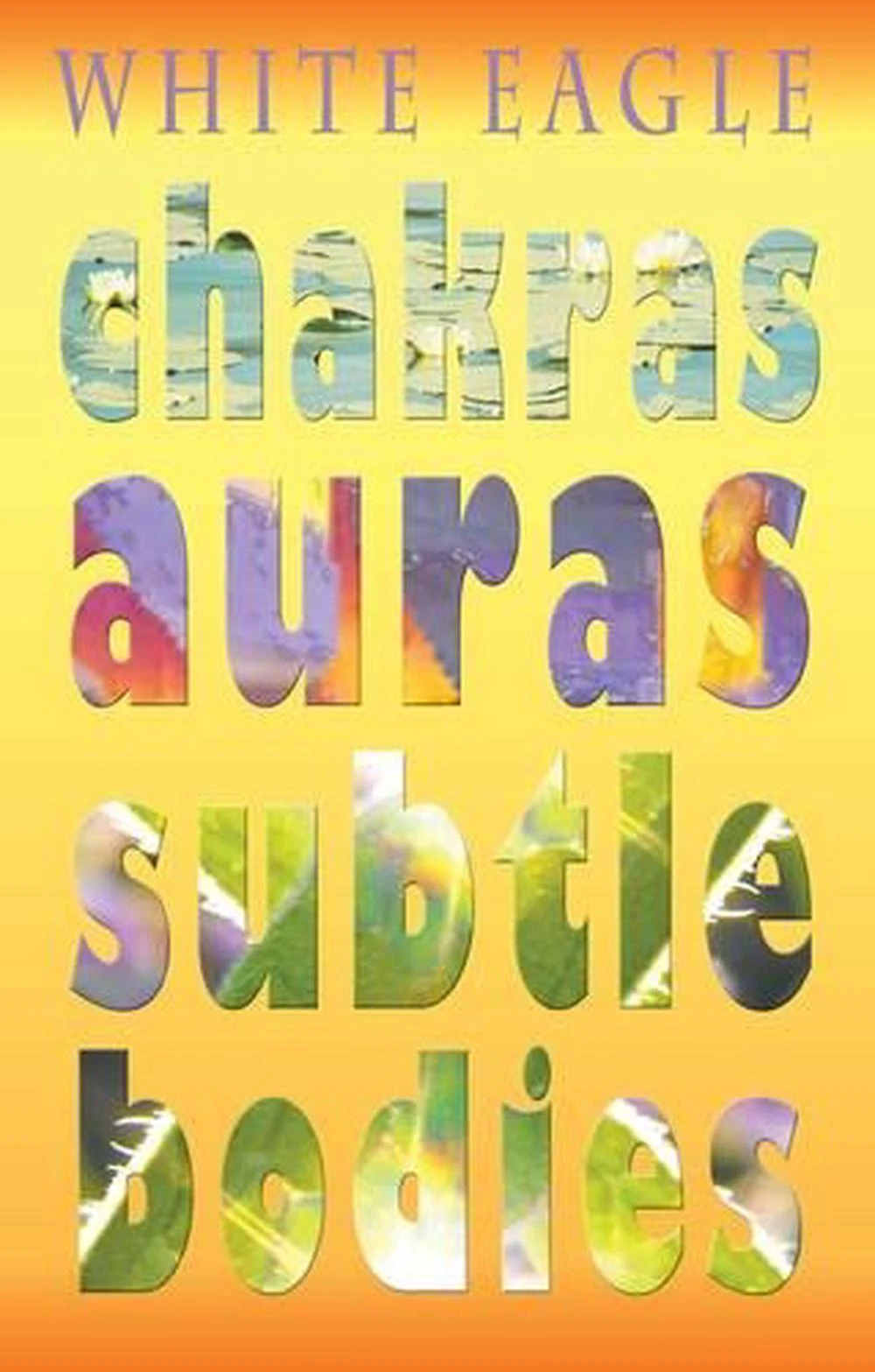 Chakras Auras Subtle Bodies