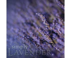 Lavender - Room Spray
