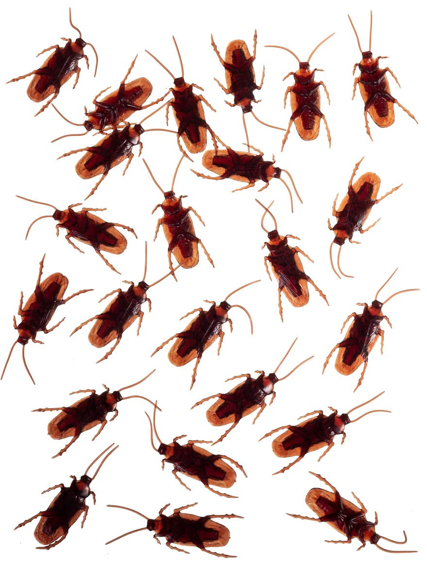 24 Pack of Realistic Cockroaches Halloween Decoration-