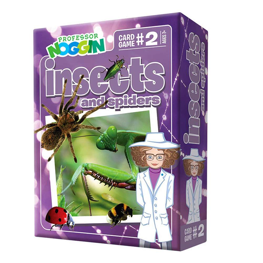 Professor Noggin Insects and Spiders