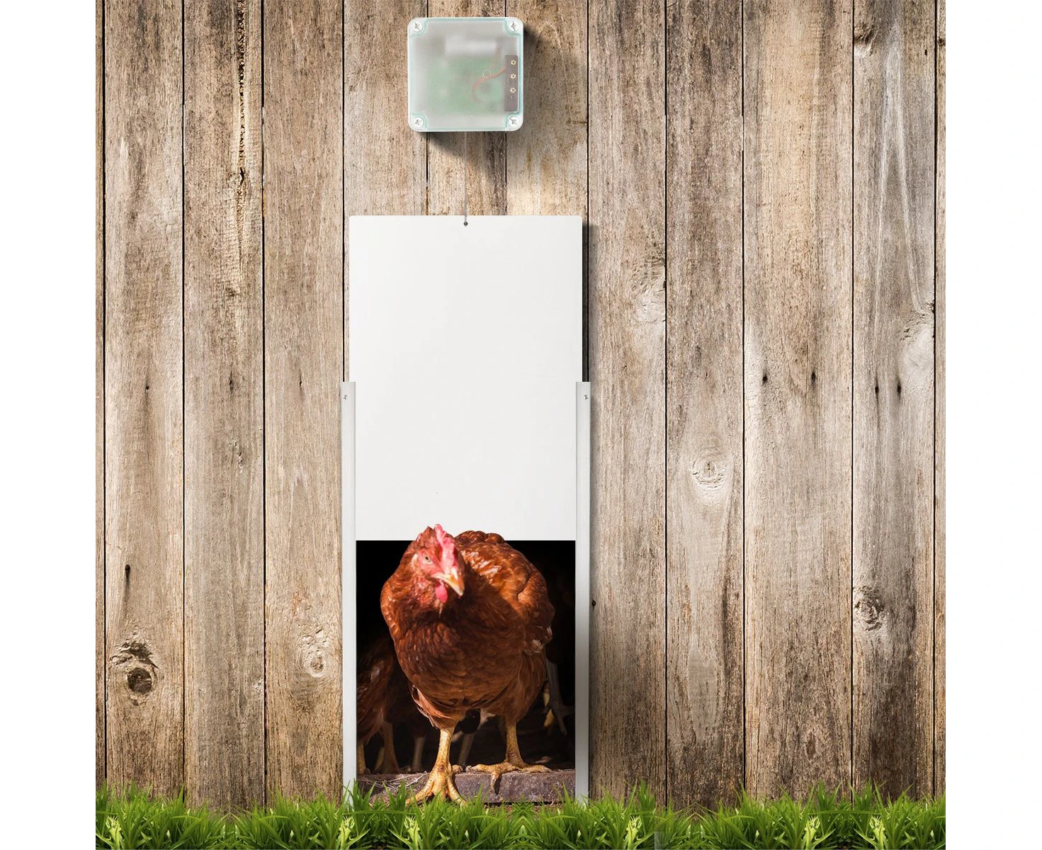 Automatic Chicken Door Coop Chicken Cage With Timer & Light Sensor