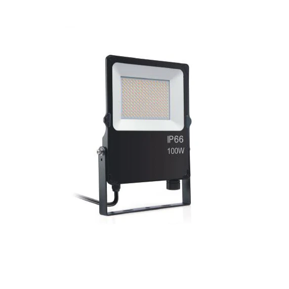 BIG BOSS AU 100W LED Outdoor Floodlight - IP66 - Tri-Colour - SAA -ECO Series