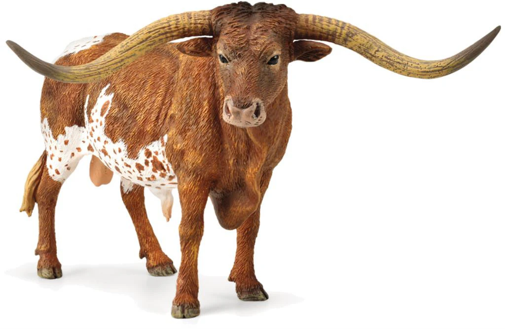 Texas Longhorn Bull (XL)