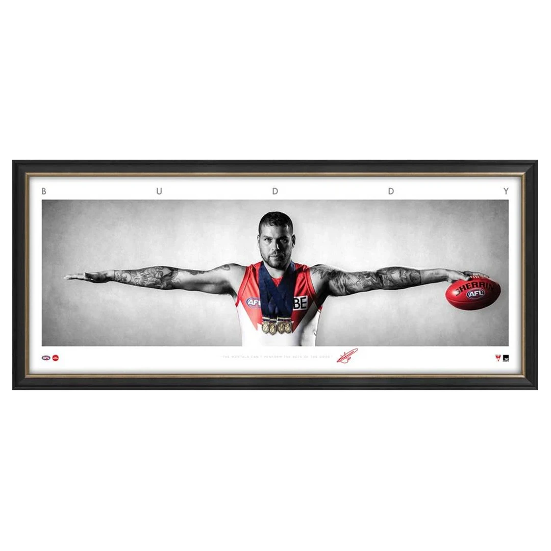 Buddy Franklin Signed Sydney Swans Mini Wings Official Afl Print Framed New - 3755