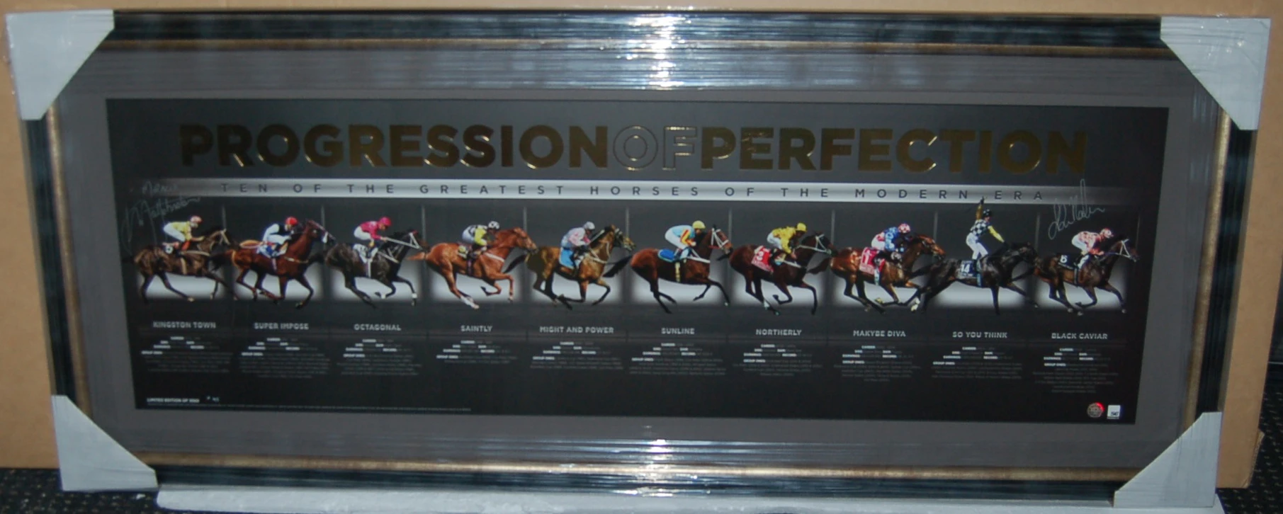 Horse Racing - Dual Signed & Framed Progression Of Perfection Print