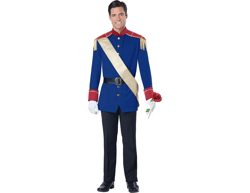 Storybook Prince Charming Mens Book Week Costume Mens