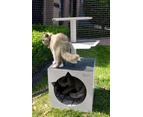 Skywalks Outdoor Cat Tree