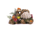 Kazoo Action Clam With Coral and Plants